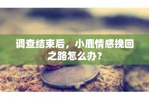 调查结束后，小鹿情感挽回之路怎么办？
