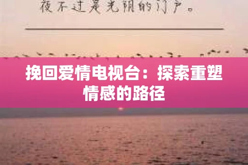 挽回爱情电视台：探索重塑情感的路径