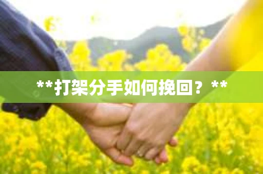 **打架分手如何挽回？**