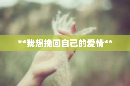 **我想挽回自己的爱情**