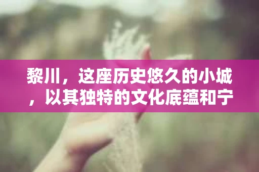 黎川，这座历史悠久的小城，以其独特的文化底蕴和宁静的生活节奏吸引着无数游客。然而，在这样一个看似平静的城市里，你是否会好奇，有没有私家侦探机构的存在呢？今天，就让我带你一探究竟。