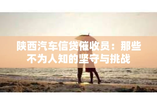 陕西汽车信贷催收员：那些不为人知的坚守与挑战