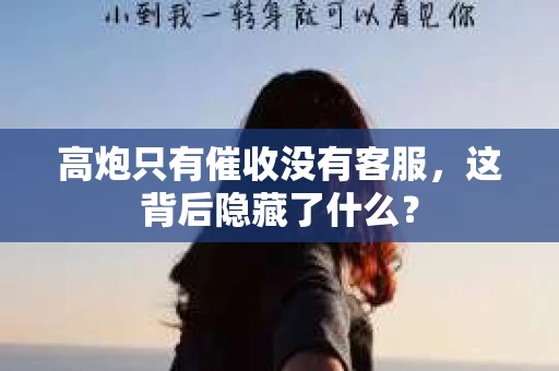 高炮只有催收没有客服，这背后隐藏了什么？