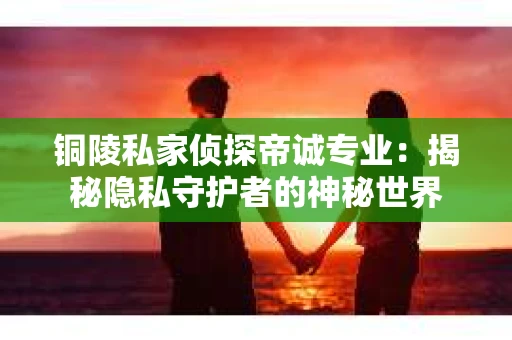 铜陵私家侦探帝诚专业：揭秘隐私守护者的神秘世界