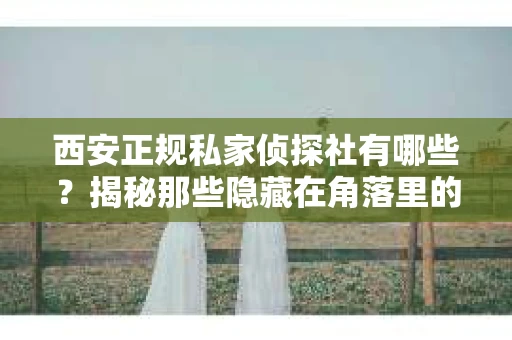 西安正规私家侦探社有哪些？揭秘那些隐藏在角落里的神秘力量