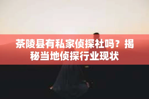 茶陵县有私家侦探社吗？揭秘当地侦探行业现状