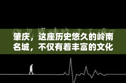 肇庆，这座历史悠久的岭南名城，不仅有着丰富的文化遗产，还有着独特的现代生活节奏。在这个城市里，你是否曾有过需要帮助解决一些棘手问题的时候？或许，你听说过肇庆有私家侦探，那么，他们究竟是怎样的存在呢？
