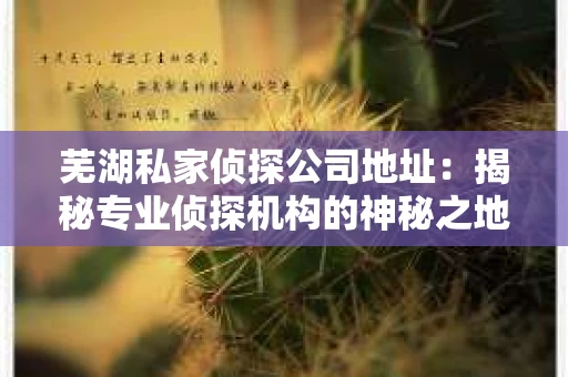 芜湖私家侦探公司地址：揭秘专业侦探机构的神秘之地
