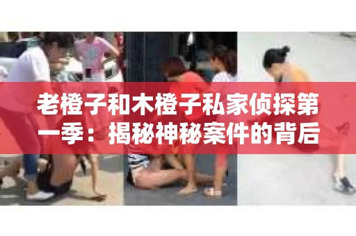 老橙子和木橙子私家侦探第一季：揭秘神秘案件的背后