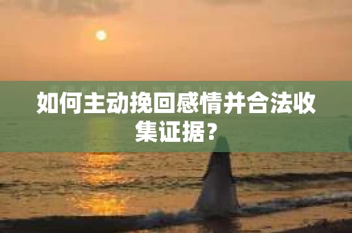 如何主动挽回感情并合法收集证据？