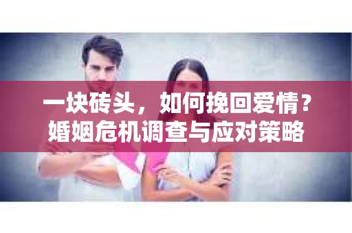 一块砖头，如何挽回爱情？婚姻危机调查与应对策略