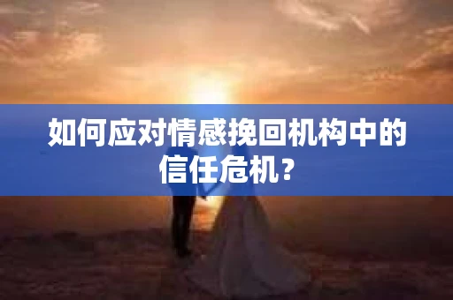 如何应对情感挽回机构中的信任危机？