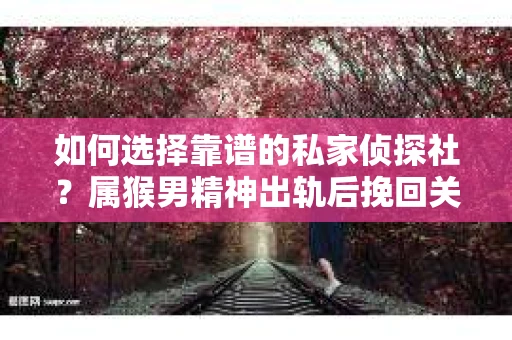 如何选择靠谱的私家侦探社？属猴男精神出轨后挽回关系的关键一步